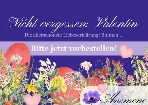 2025 Anemone Valentinstag