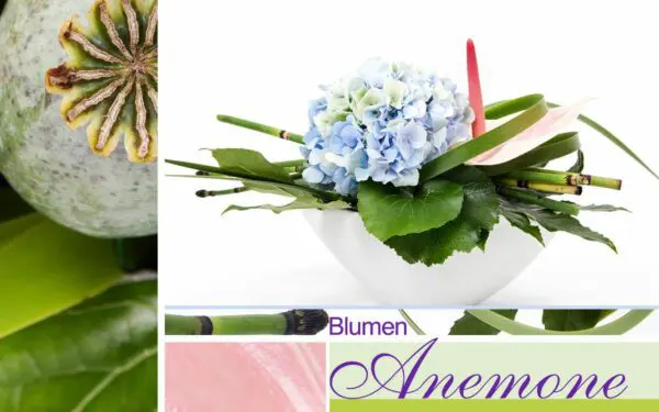 Gesteck mit blauer Hortensie bei Blumen Anemone in München