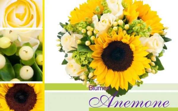 Blumenstrauß gelb und weiß in Obergiesing bei Blumen Anemone