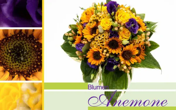 Blumenstrauß gelb und lila mit Sonnenblumen bei Blumen Anemone in Obergiesing