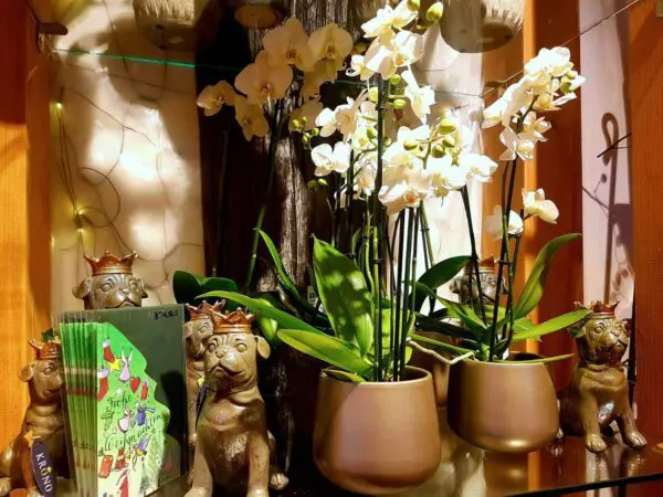 Orchideen und Weihnachtskarten