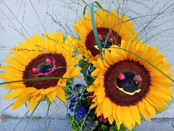 Smiley Sonnenblumen